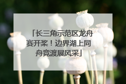 长三角示范区龙舟赛开桨！边界湖上同舟竞渡展风采