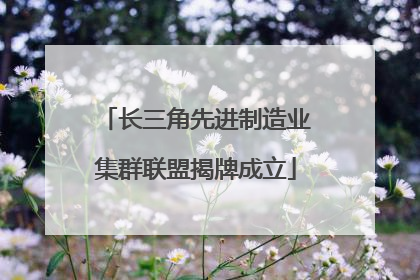 长三角先进制造业集群联盟揭牌成立