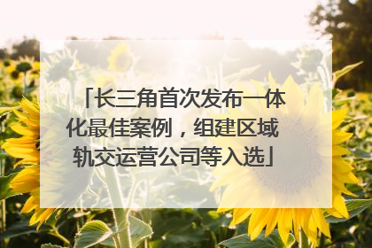 长三角首次发布一体化最佳案例，组建区域轨交运营公司等入选