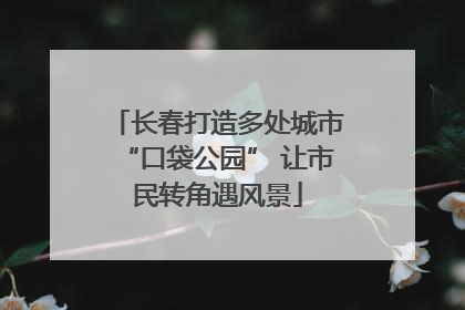 长春打造多处城市“口袋公园” 让市民转角遇风景
