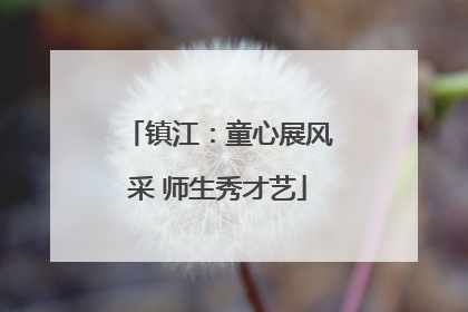 镇江：童心展风采 师生秀才艺