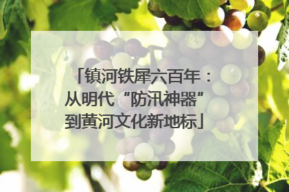 镇河铁犀六百年：从明代“防汛神器”到黄河文化新地标