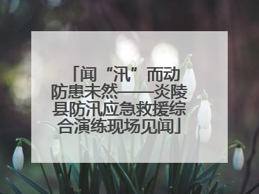 闻“汛”而动 防患未然——炎陵县防汛应急救援综合演练现场见闻