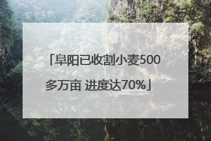 阜阳已收割小麦500多万亩 进度达70%