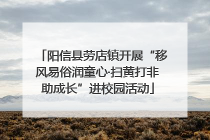 阳信县劳店镇开展“移风易俗润童心·扫黄打非助成长”进校园活动