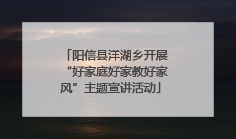 阳信县洋湖乡开展“好家庭好家教好家风”主题宣讲活动