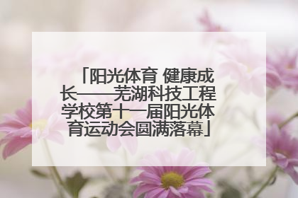 阳光体育 健康成长——芜湖科技工程学校第十一届阳光体育运动会圆满落幕