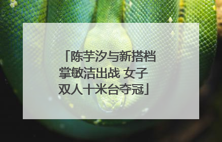 陈芋汐与新搭档掌敏洁出战 女子双人十米台夺冠