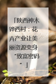陕西神木铧西村：花卉产业让美丽资源变身“致富密码”