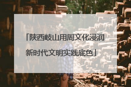 陕西岐山用周文化浸润新时代文明实践底色