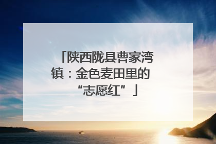 陕西陇县曹家湾镇：金色麦田里的“志愿红”