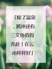 除了温泉，腾冲还有三文鱼值得奔赴丨在云南样样好