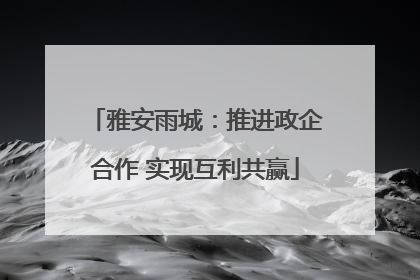 雅安雨城：推进政企合作 实现互利共赢