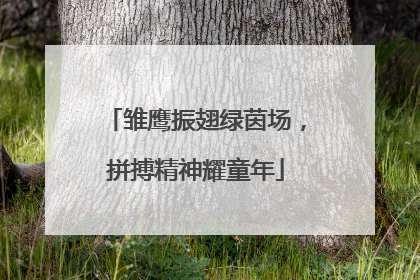 雏鹰振翅绿茵场，拼搏精神耀童年