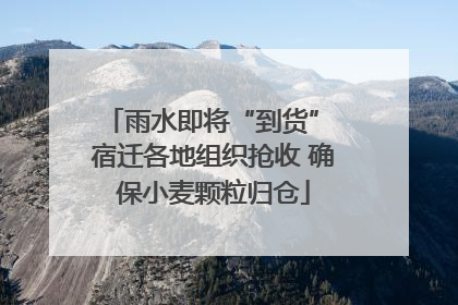 雨水即将“到货” 宿迁各地组织抢收 确保小麦颗粒归仓