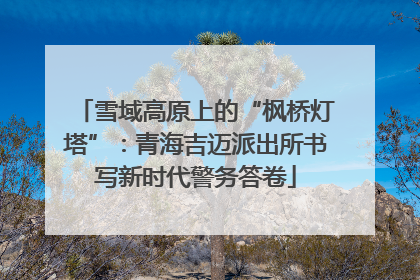 雪域高原上的“枫桥灯塔”：青海吉迈派出所书写新时代警务答卷