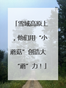 雪域高原上，他们用“小蘑菇”创造大“蘑”力！