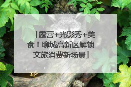 露营+光影秀+美食！聊城高新区解锁文旅消费新场景