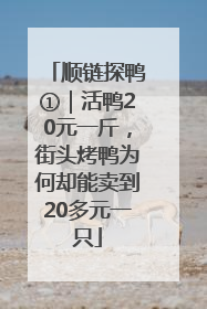 顺链探鸭①｜活鸭20元一斤，街头烤鸭为何却能卖到20多元一只