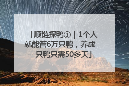 顺链探鸭③｜1个人就能管6万只鸭，养成一只鸭只需50多天