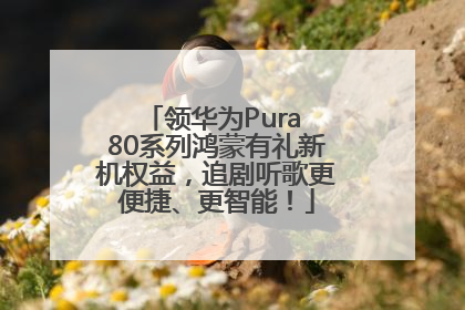 领华为Pura 80系列鸿蒙有礼新机权益，追剧听歌更便捷、更智能！
