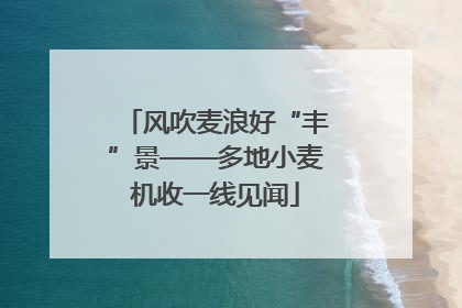 风吹麦浪好“丰”景——多地小麦机收一线见闻