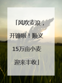 风吹麦浪，开镰啦！顺义15万亩小麦迎来丰收