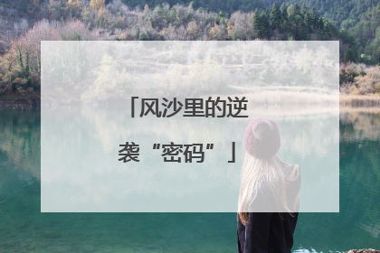 风沙里的逆袭“密码”
