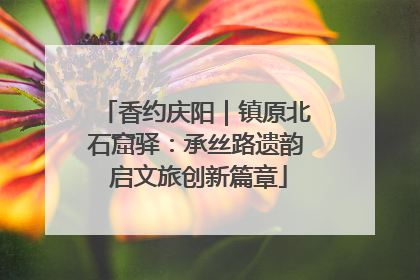 香约庆阳｜镇原北石窟驿：承丝路遗韵 启文旅创新篇章