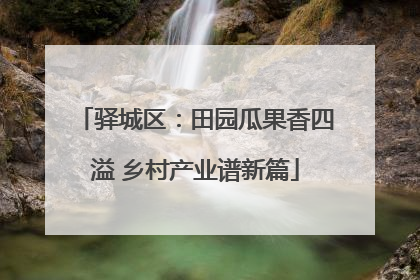 驿城区：田园瓜果香四溢 乡村产业谱新篇