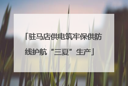 驻马店供电筑牢保供防线护航“三夏”生产