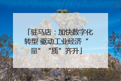 驻马店：加快数字化转型 驱动工业经济“量”“质”齐升