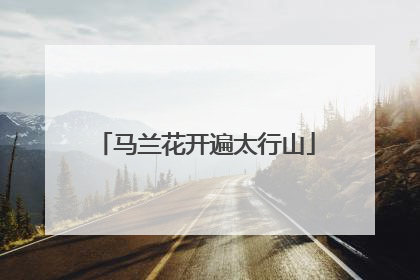 马兰花开遍太行山