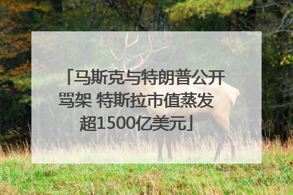 马斯克与特朗普公开骂架 特斯拉市值蒸发超1500亿美元