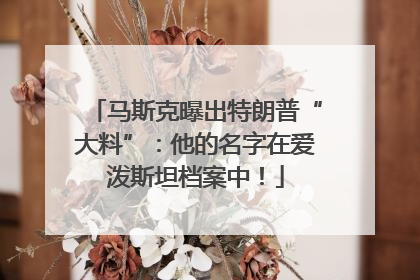 马斯克曝出特朗普“大料”：他的名字在爱泼斯坦档案中！