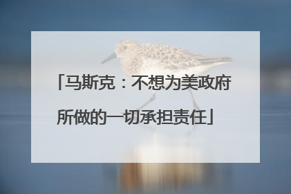 马斯克：不想为美政府所做的一切承担责任