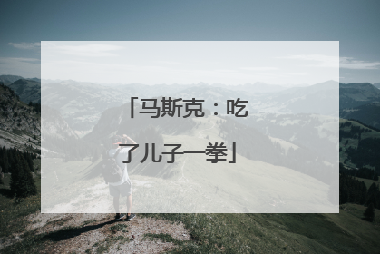 马斯克：吃了儿子一拳