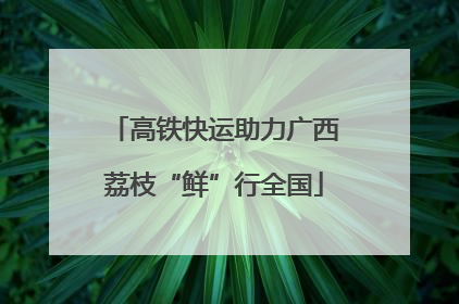 高铁快运助力广西荔枝“鲜”行全国
