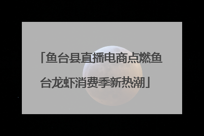 鱼台县直播电商点燃鱼台龙虾消费季新热潮