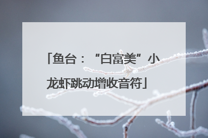 鱼台：“白富美”小龙虾跳动增收音符