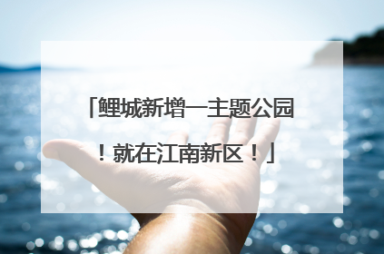 鲤城新增一主题公园！就在江南新区！