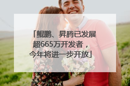 鲲鹏、昇腾已发展超665万开发者，今年将进一步开放