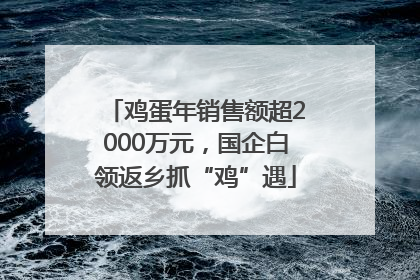 鸡蛋年销售额超2000万元，国企白领返乡抓“鸡”遇
