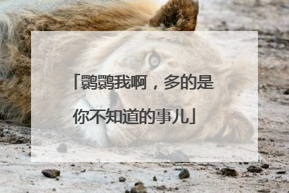 鹮鹮我啊，多的是你不知道的事儿