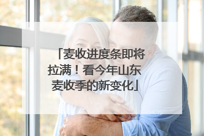 麦收进度条即将拉满！看今年山东麦收季的新变化
