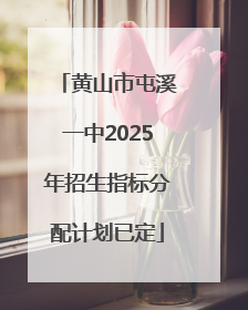 黄山市屯溪一中2025年招生指标分配计划已定