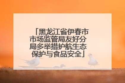 黑龙江省伊春市市场监管局友好分局多举措护航生态保护与食品安全