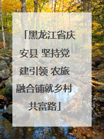 黑龙江省庆安县 坚持党建引领 农旅融合铺就乡村共富路