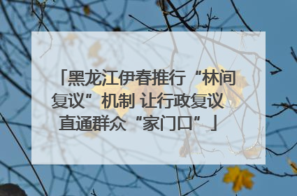 黑龙江伊春推行“林间复议”机制 让行政复议直通群众“家门口”