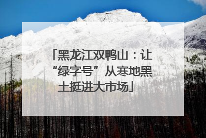 黑龙江双鸭山：让“绿字号”从寒地黑土挺进大市场